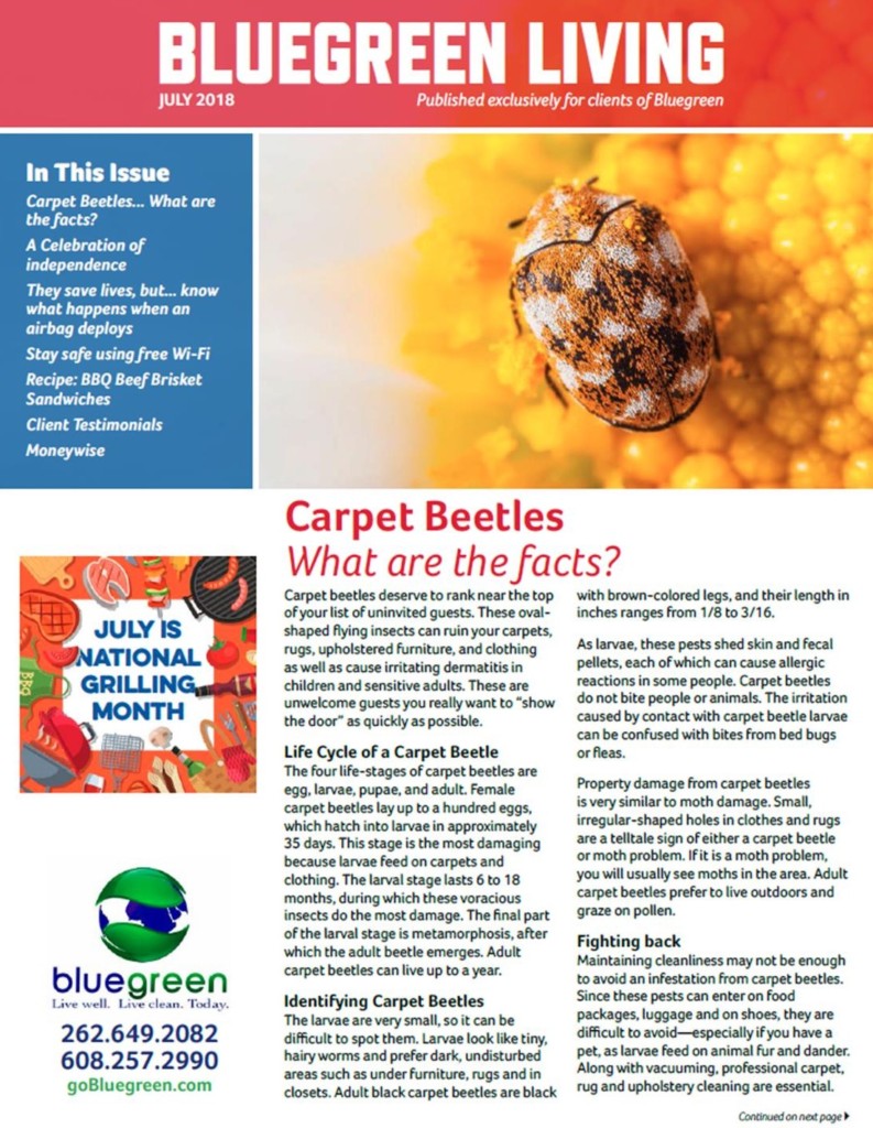 July Cover Bluegreen Carpet And Tile Cleaning